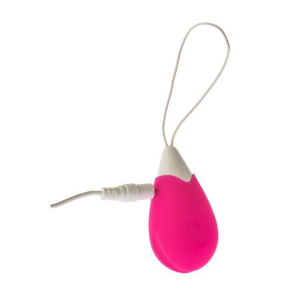All Time Favourite 10 Function Remote Control Egg BondageBox UK