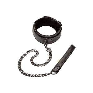 Boundless Collar and Leash BondageBox UK