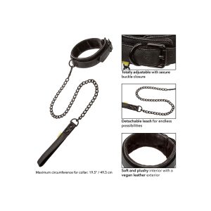 Boundless Collar and Leash BondageBox UK