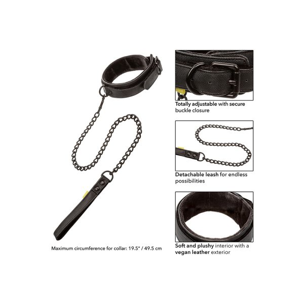 Boundless Collar and Leash BondageBox UK