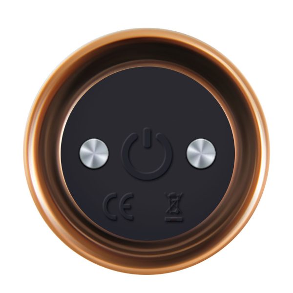 Evolved Four Play Vibe Kit BondageBox UK