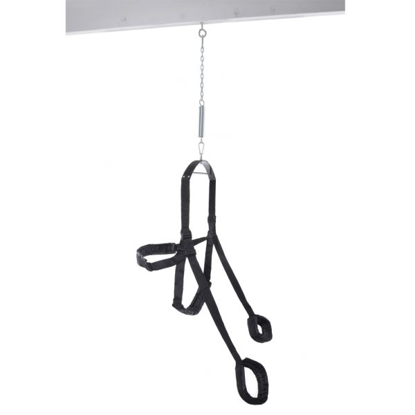 Fetish Fantasy Fantasy Swing BondageBox UK