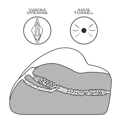 Lovetoy Streetgirls Number 3 Masturbator Flesh Pink BondageBox UK