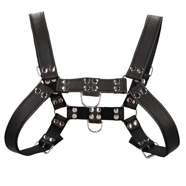 Ouch Chest Bulldog Harness Black Large to Xlarge BondageBox UK