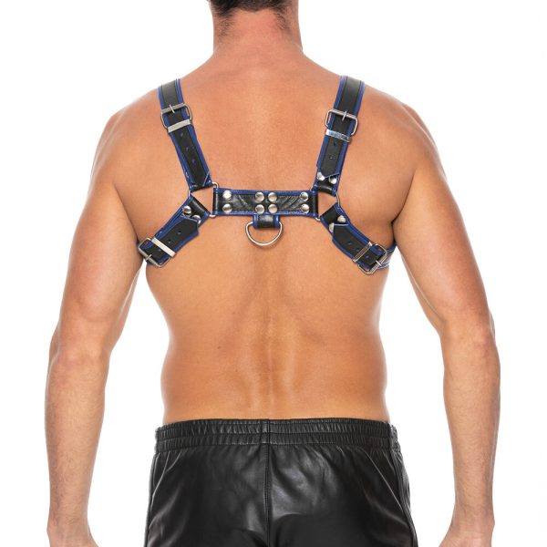Ouch Chest Bulldog Harness Blue Small To Medium BondageBox UK