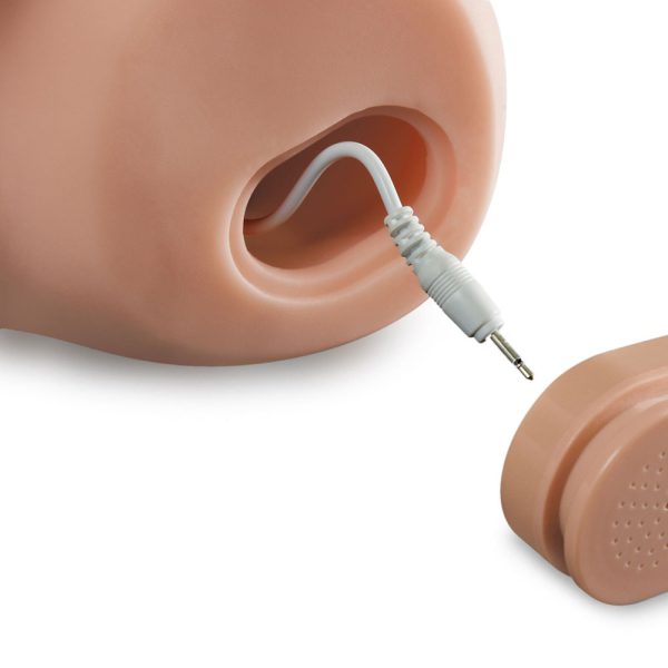 PDX Dirty Talk Interactive My Cock Masturbator BondageBox UK