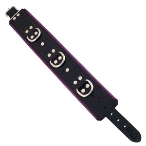 Rouge Garments Black And Purple Padded Collar BondageBox UK