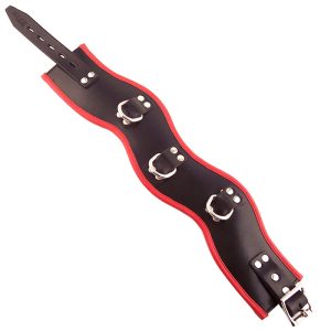Rouge Garments Black And Red Padded Posture Collar BondageBox UK