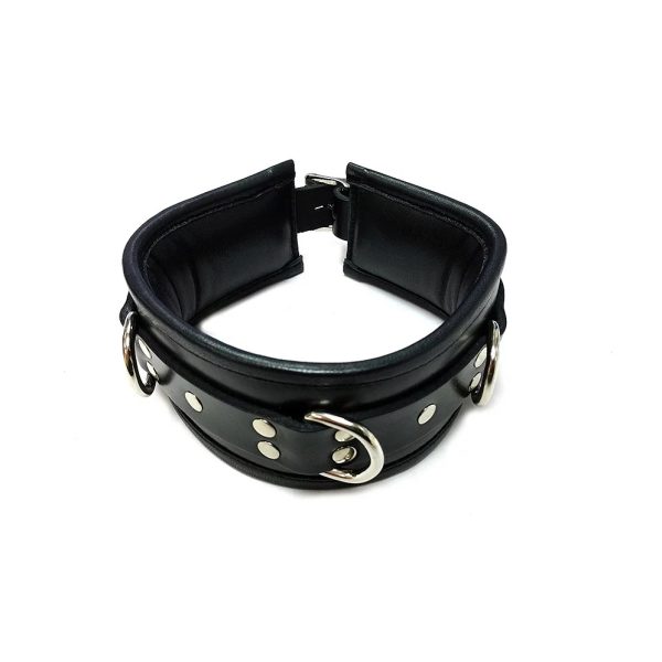 Rouge Garments Black Padded Collar BondageBox UK