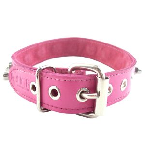 Rouge Garments Pink Nut Collar BondageBox UK