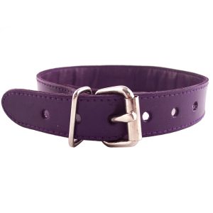 Rouge Garments Purple Studded O Ring Studded Collar BondageBox UK