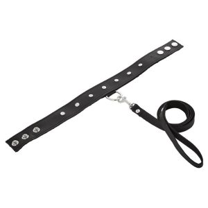 SportSheets Leather Leash And Collar BondageBox UK