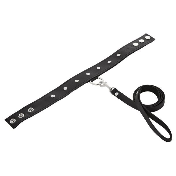 SportSheets Leather Leash And Collar BondageBox UK