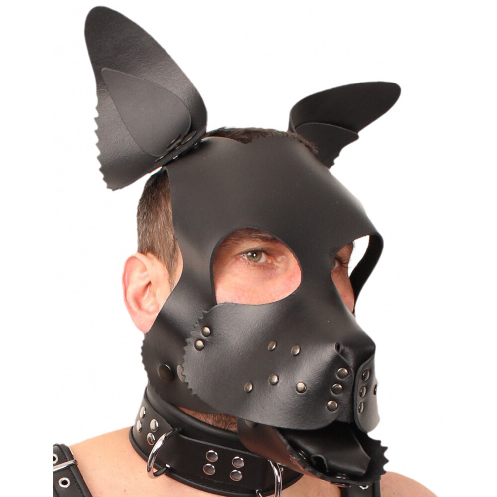 The Red Leather Puppy Dog Mask BondageBox UK