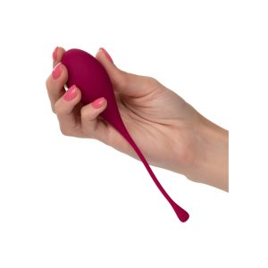 Tighten And Tone Kegel Training 5 Piece Set BondageBox UK